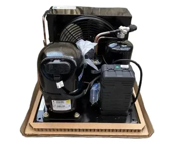 CAJ9510Z TAJ2446Z Tecumseh Refrigerating Unit 1hp Gas R404 Refrigeration Compressor for Cold Room