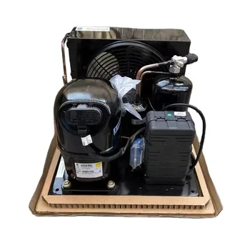 CAJ9510Z TAJ2446Z Tecumseh Refrigerating Unit 1hp Gas R404 Refrigeration Compressor for Cold Room refrigeration compressor